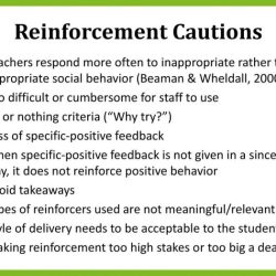 Reinforcement reward student reinforcer reinforcers